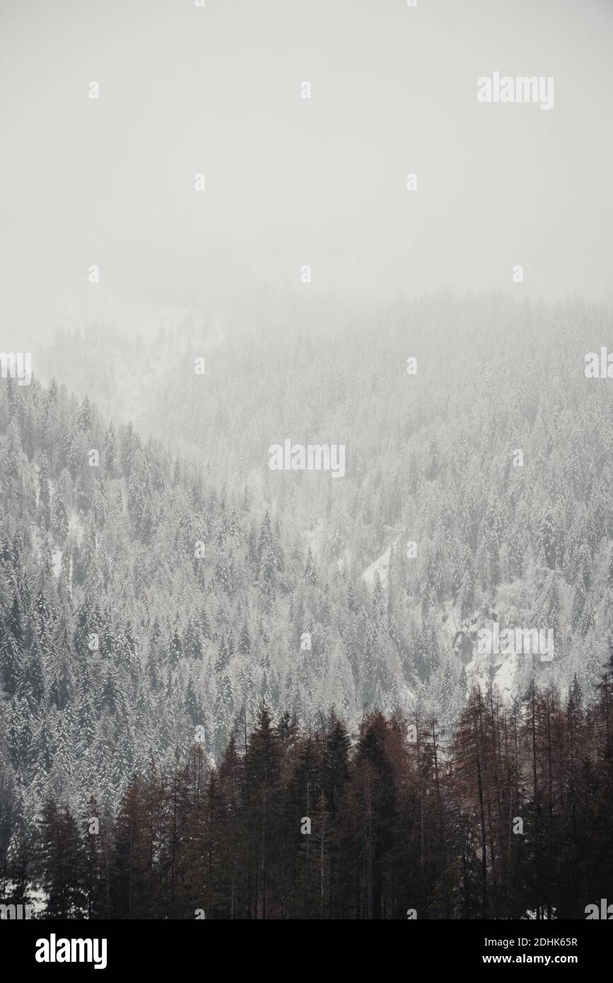 Snow over the mountains in winter Stock Photo