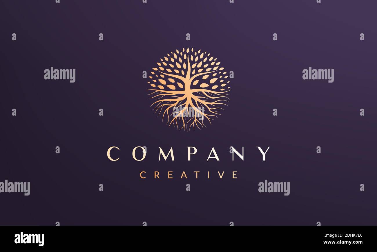 Circle tree logo concept with luxury and modern style Stock Vector ...