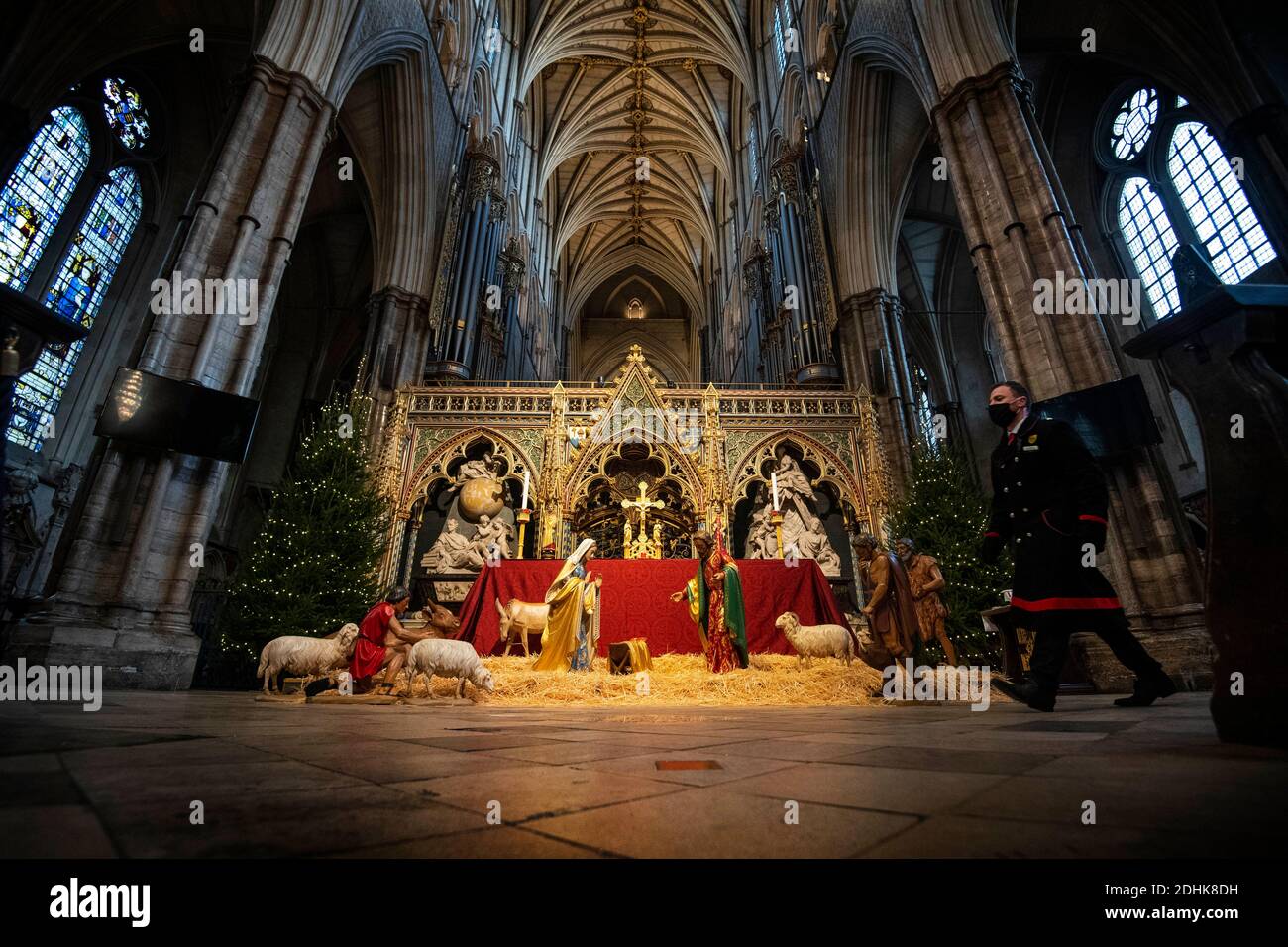 An abbey marshal walks past the Nativity crib and Christmas trees which have put into place inside Westminster Abbey, London. Stock Photo