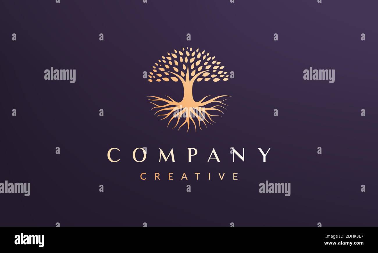 Circle tree logo concept with luxury and modern style Stock Vector ...