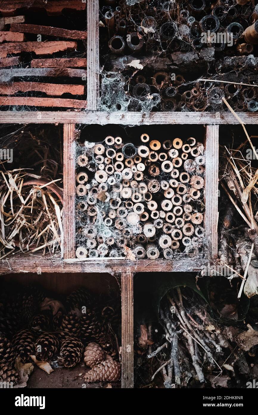 Garden, Insect hotel and bug refuge made from roof tiles, plant cones and wood. Stock Photo