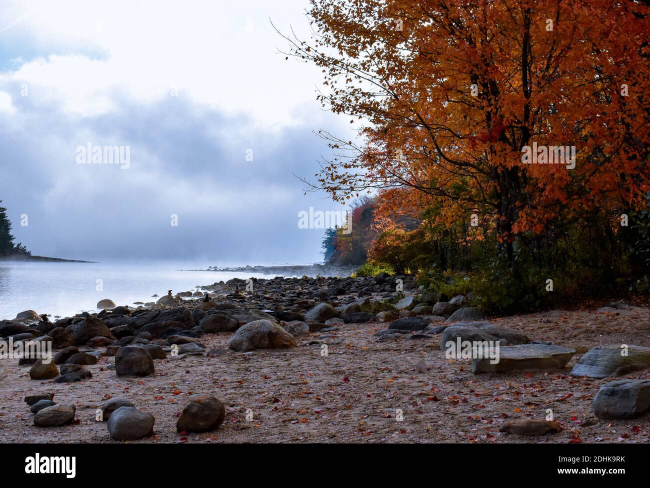 Fall colors in front of foggy lake herald the changing seasons. Stock Photo