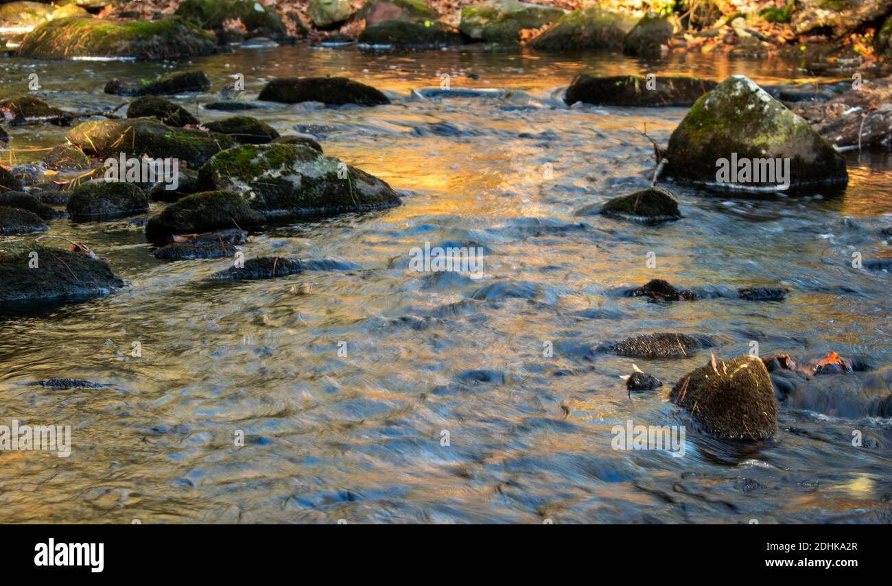 Colored leaves fall into flowing stream as Autumn arrives in New England. Stock Photo
