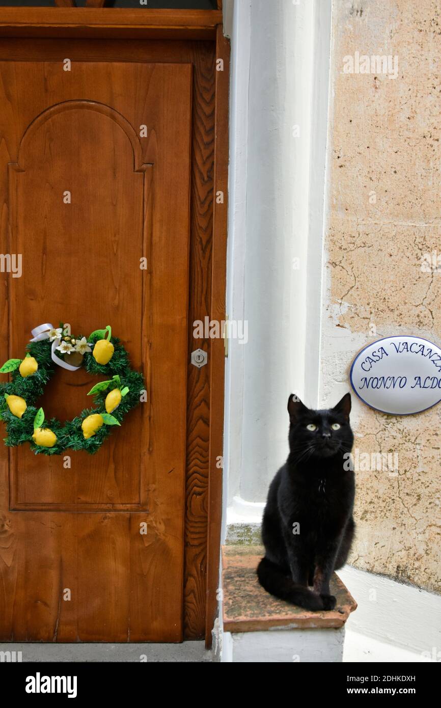 A cat on the door of an old house in a village on the Amalfi coast. Stock Photo