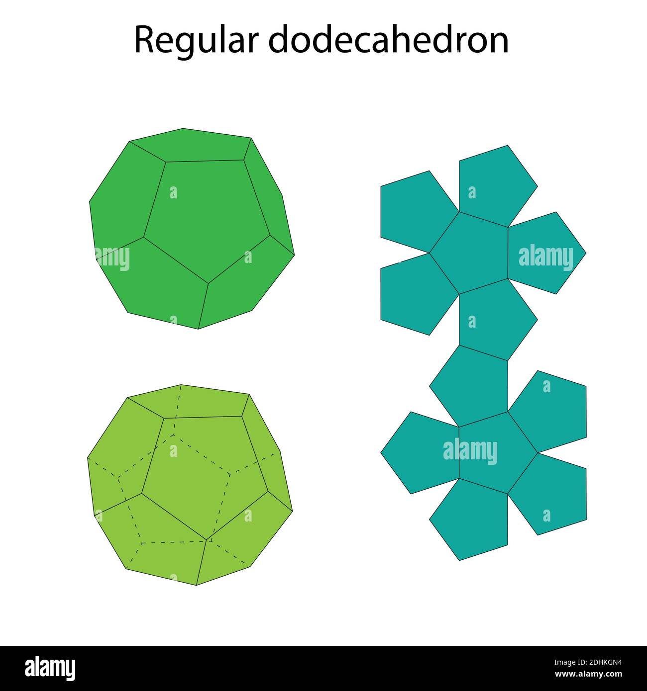 Dodecahedron with net. Regular polyhedron. Vector illustration. Stock Vector