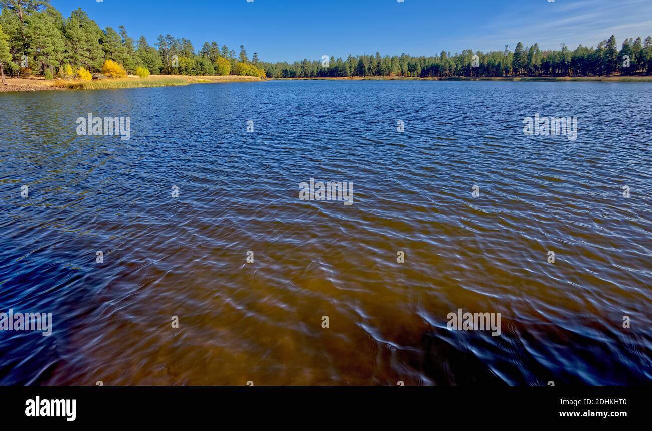 White Horse Lake in the Kaibab National Forest of northern Arizona