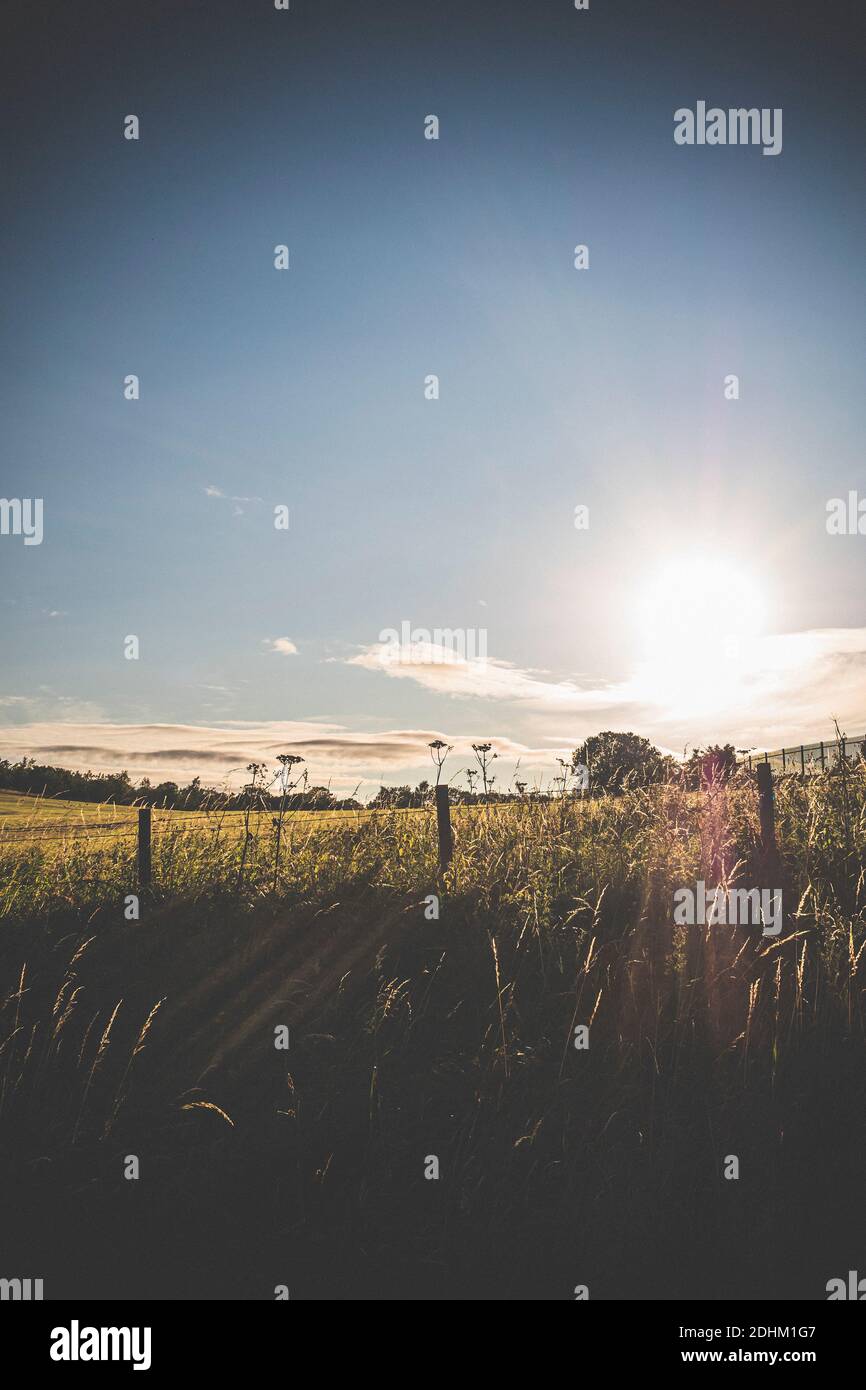 Sunrise over a field hi-res stock photography and images - Alamy