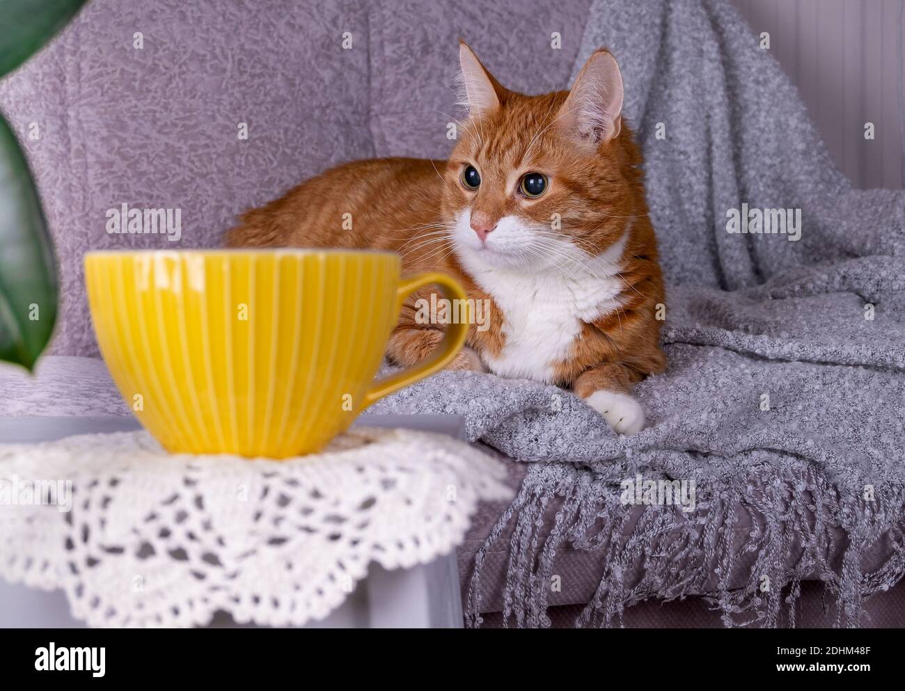 Hygge interior hi-res stock photography and images - Alamy