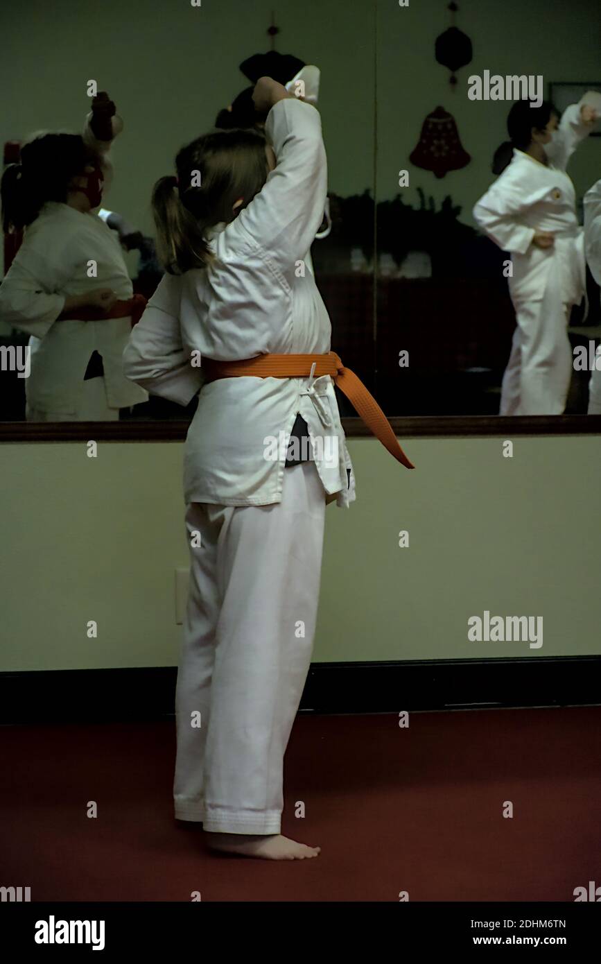Karate is a form of martial arts that Originated in Japan. It