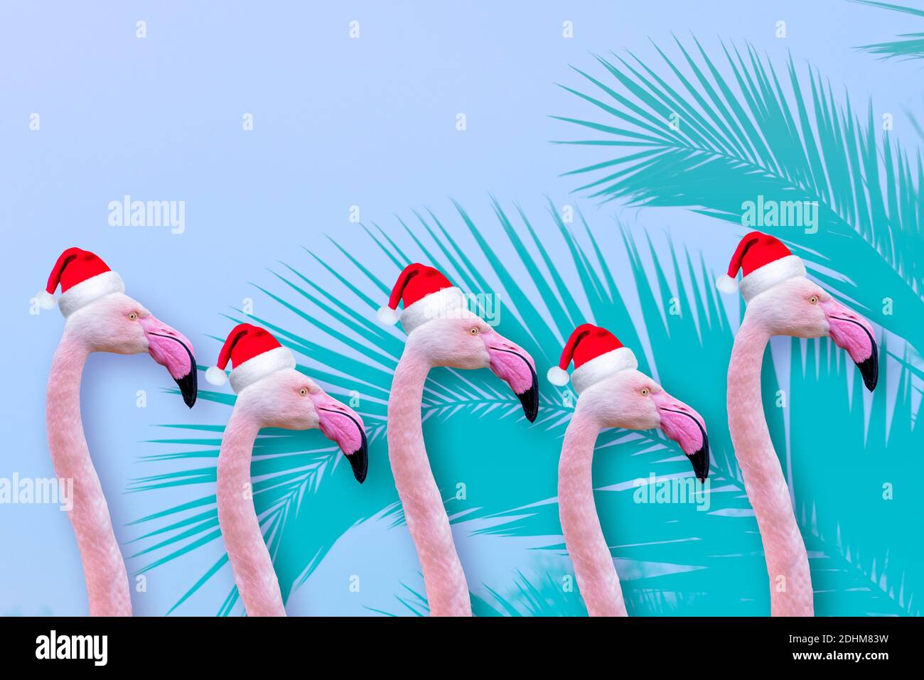 Festive flamingo Greeting or Christmas card with funny animals in xmas santa hats with space for a message Stock Photo