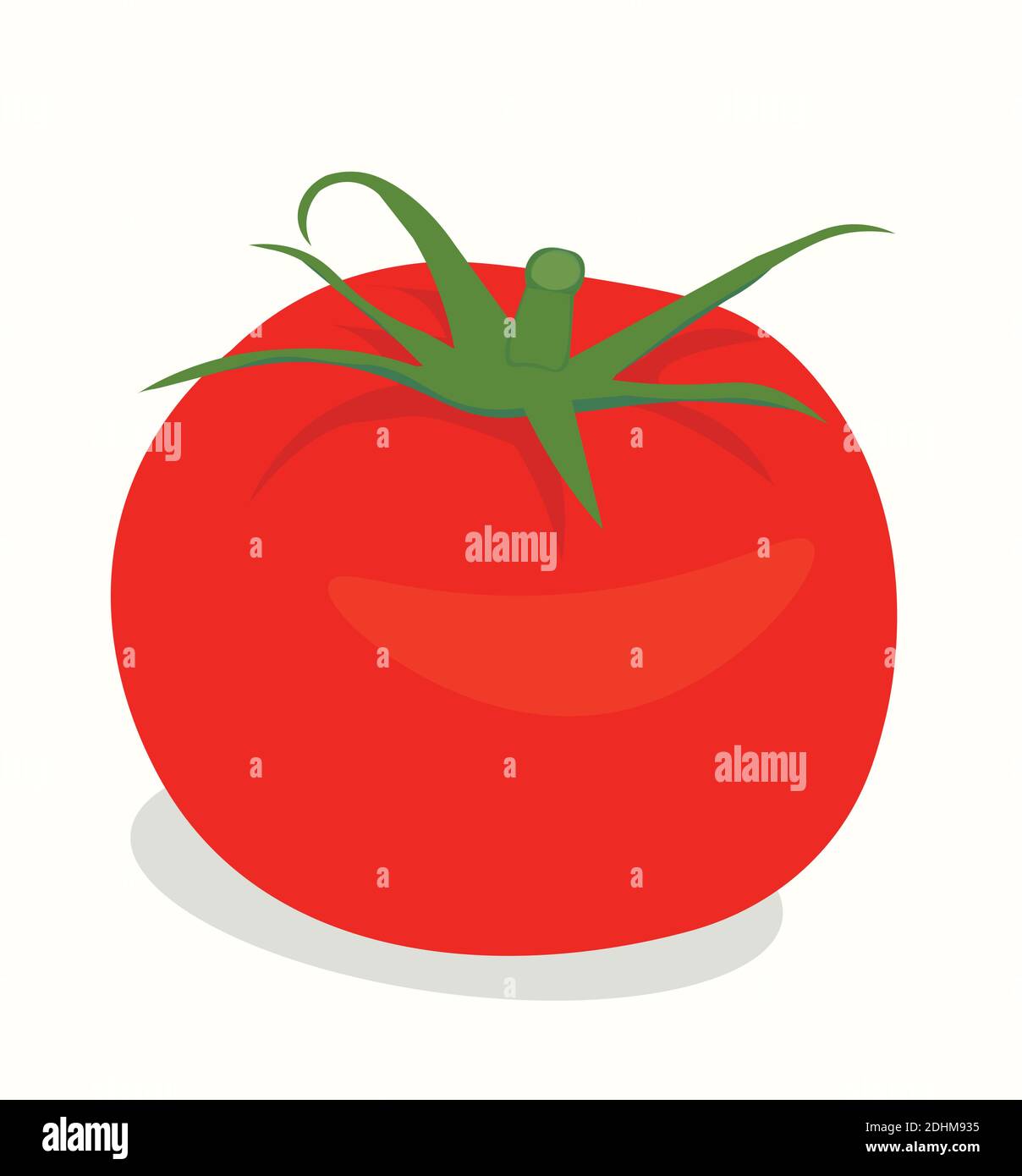 Realistic Tomato Tomato Icon. Flat Design. Vector Illustration. Stock Vector
