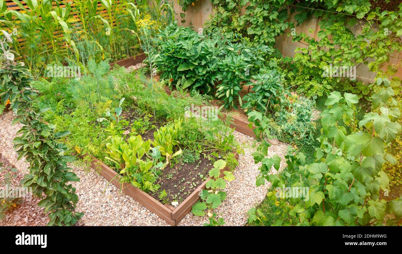 Top view of a modern garden with raised wooden beds for growing organic