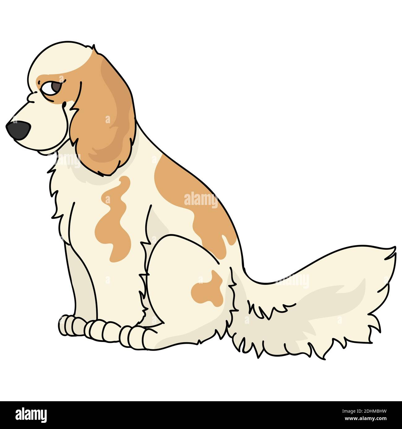 Fluffy Cocker Spaniel Stock Vector Images Alamy