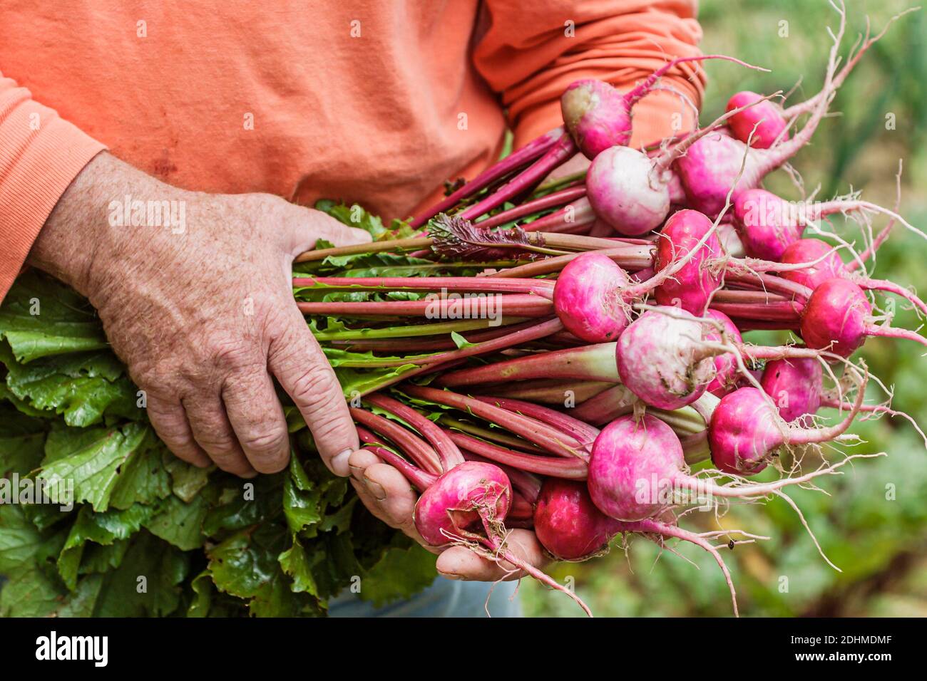 Alabama Mt. Mount Laurel Grow Farm organic farming,hands holding