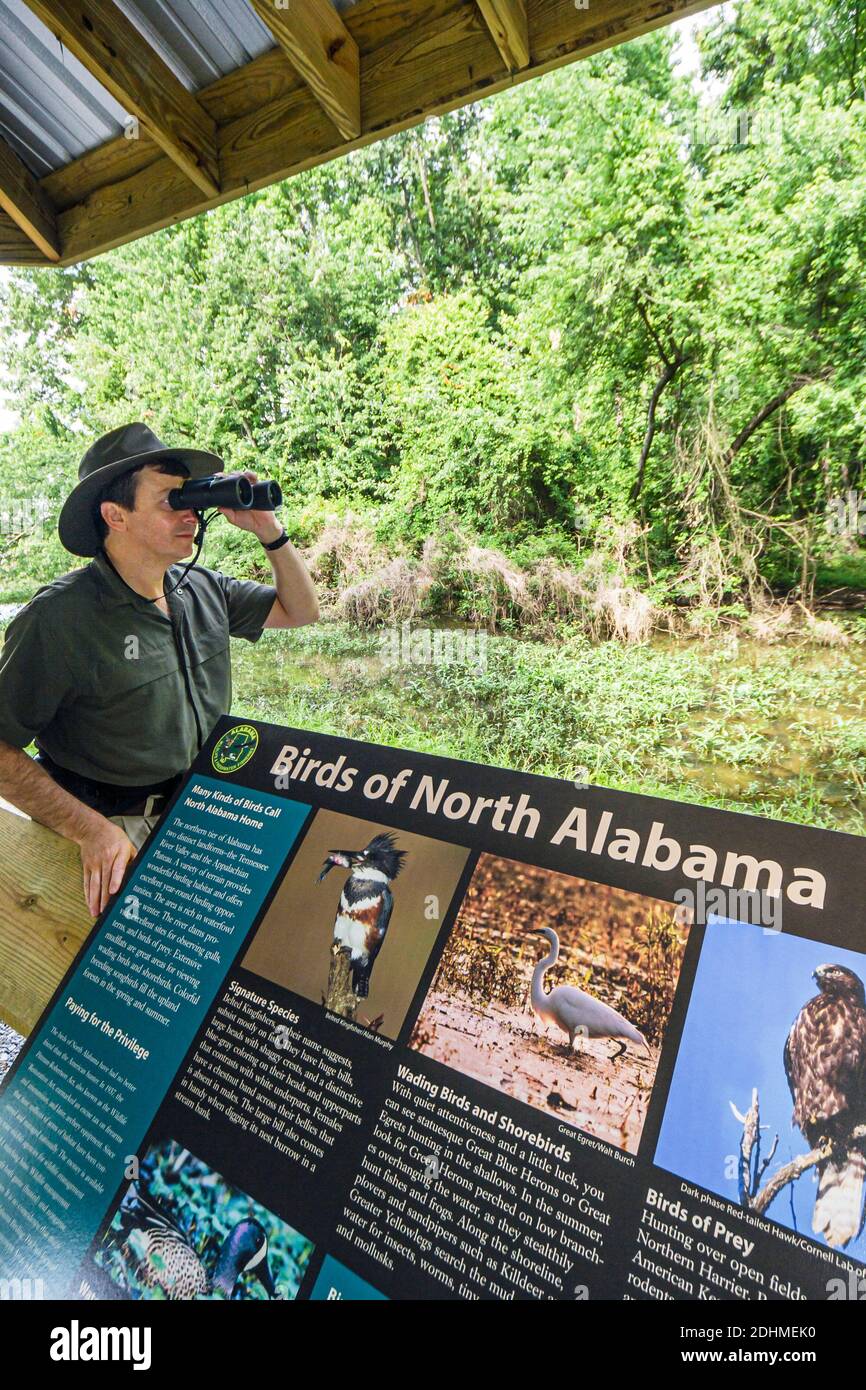 Alabama Decatur Hospitality Nature Park birding birder,man binoculars looking, Stock Photo