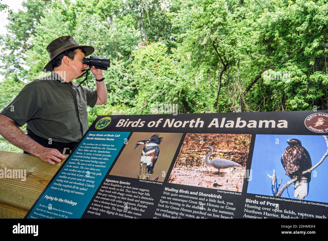 Alabama Decatur Hospitality Nature Park birding birder,man binoculars looking sign information, Stock Photo