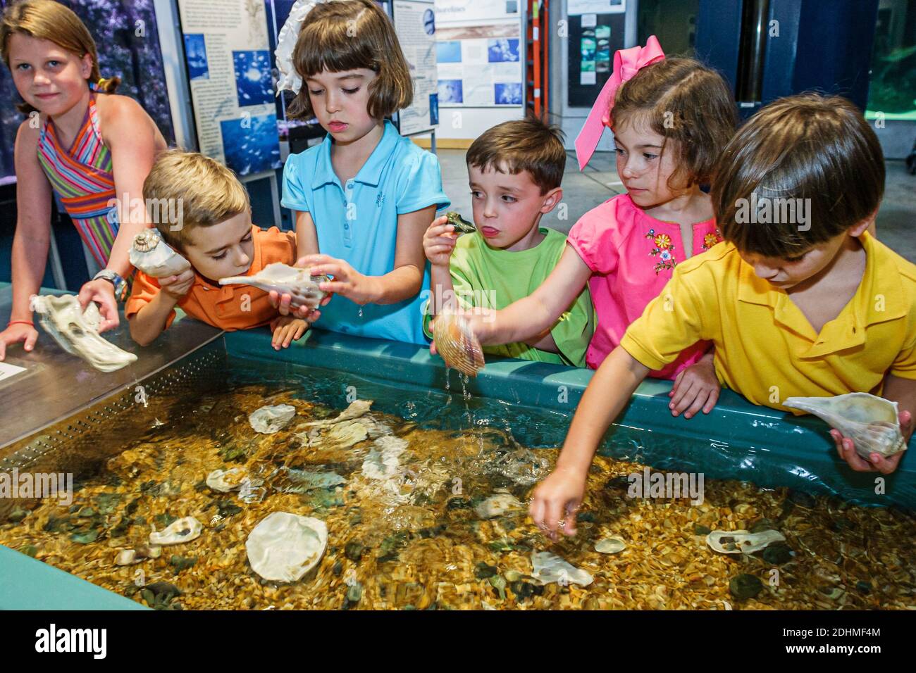 Alabama Dauphin Island Sea Lab Estuarium public aquarium,hands on exhibit shells boys girls, Stock Photo
