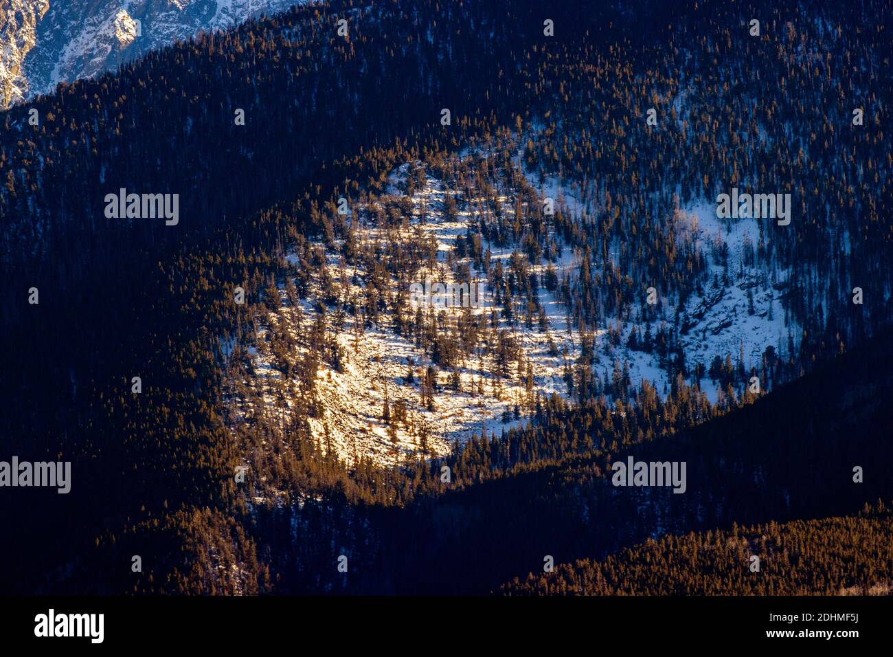 Open high alpine meadow on snow covered Simmons Peak; elevation 12.050'; near Salida; Colorado; USA Stock Photo