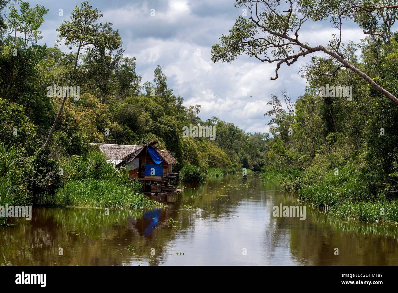 Rainforest and small cabin along the Sekonyer River (a tributary to Kumai River) in Kalimantan (Tanjung Puting National Park), southern Borneo. Stock Photo
