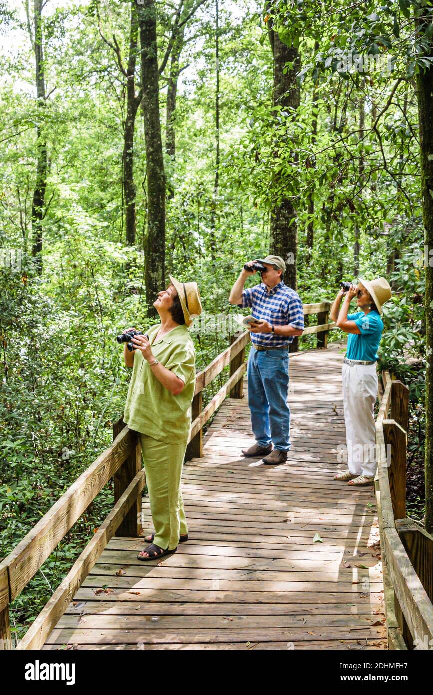 Alabama Dothan Landmark Park,nature boardwalk birdwatchers birding birders trees forest man women binoculars, Stock Photo