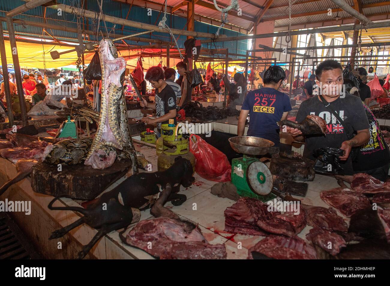 Inside Tomohon extreme market, north Sulawesi, Indonesia. Stock Photo