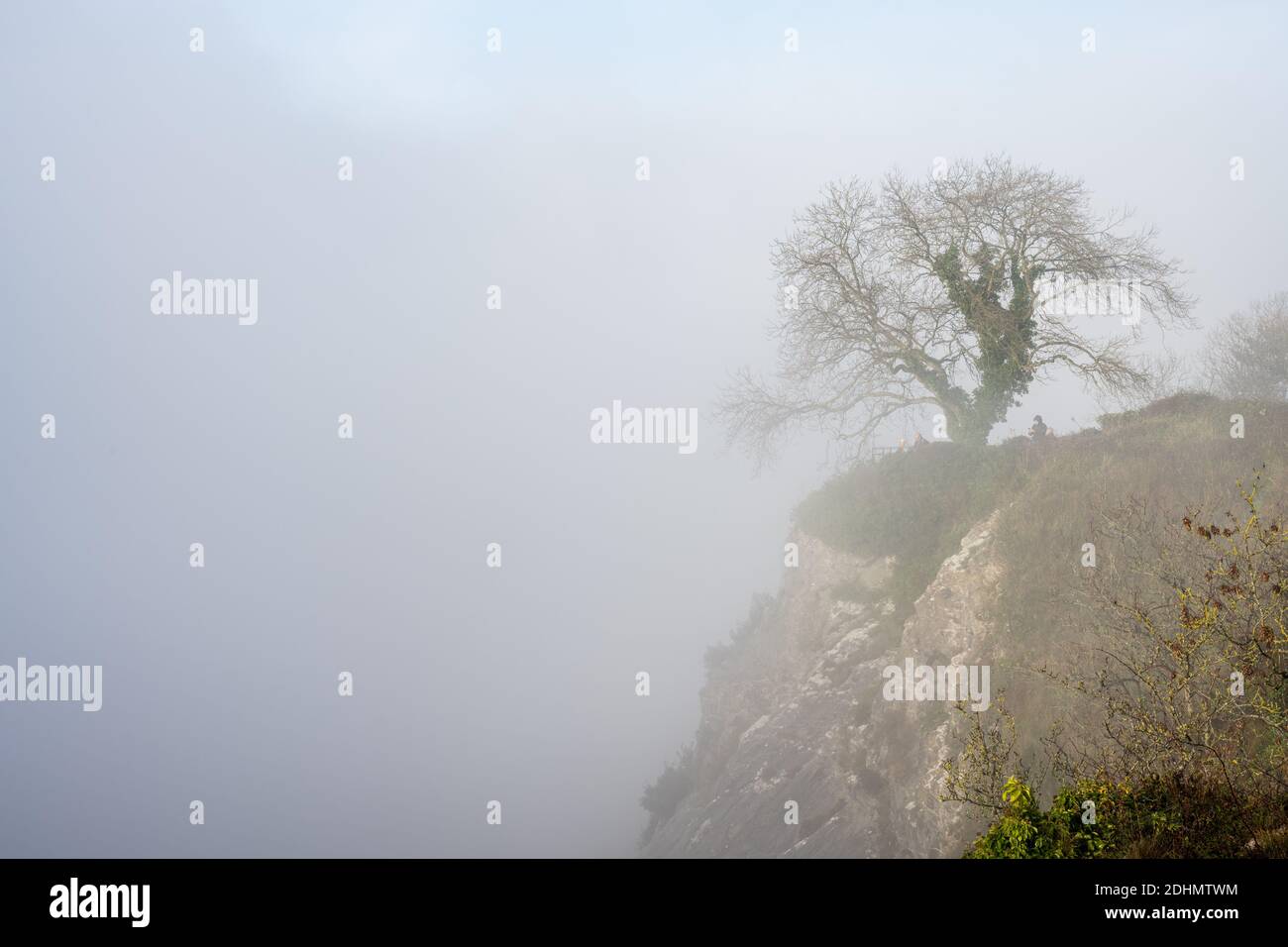 Fog fills the Avon Gorge in Bristol as viewed from Clifton Down. Stock Photo