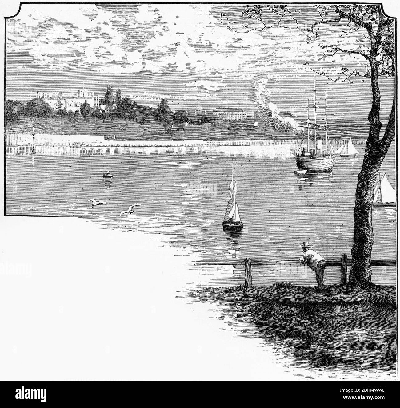 Engraving of Farm Cove, Sydney, New South Wales, Australia, circa 1880