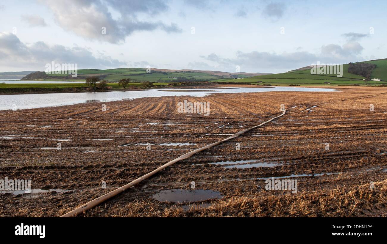 A field of stubble lies half flooded beside Ettrick Bay on Scotland's Isle of Bute. Stock Photo