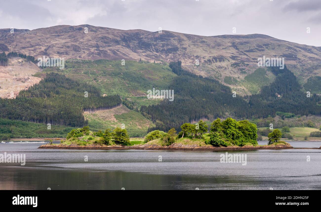 The small wooded island of Eilean Munde stands in Loch Leven sea loch at Glencoe in the Highlands of Scotland, with partially harvested plantation for Stock Photo