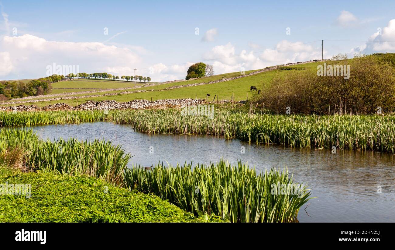 Sun shines on Heathcote Mere near Hartington under the hills of the Derbyshire Dales Peak District. Stock Photo