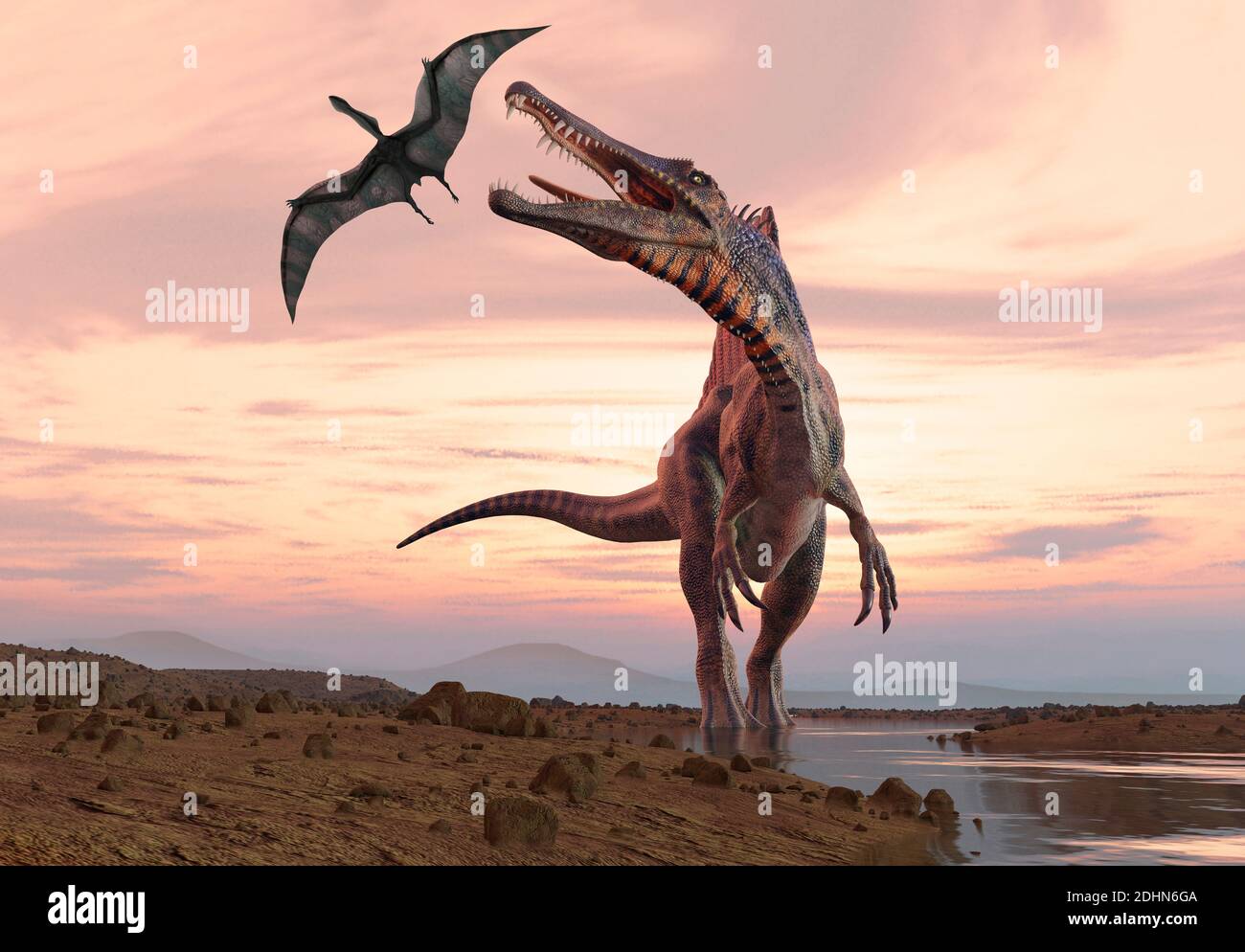 Spinosaurus (meaning 'spine lizard') was arguably the largest known