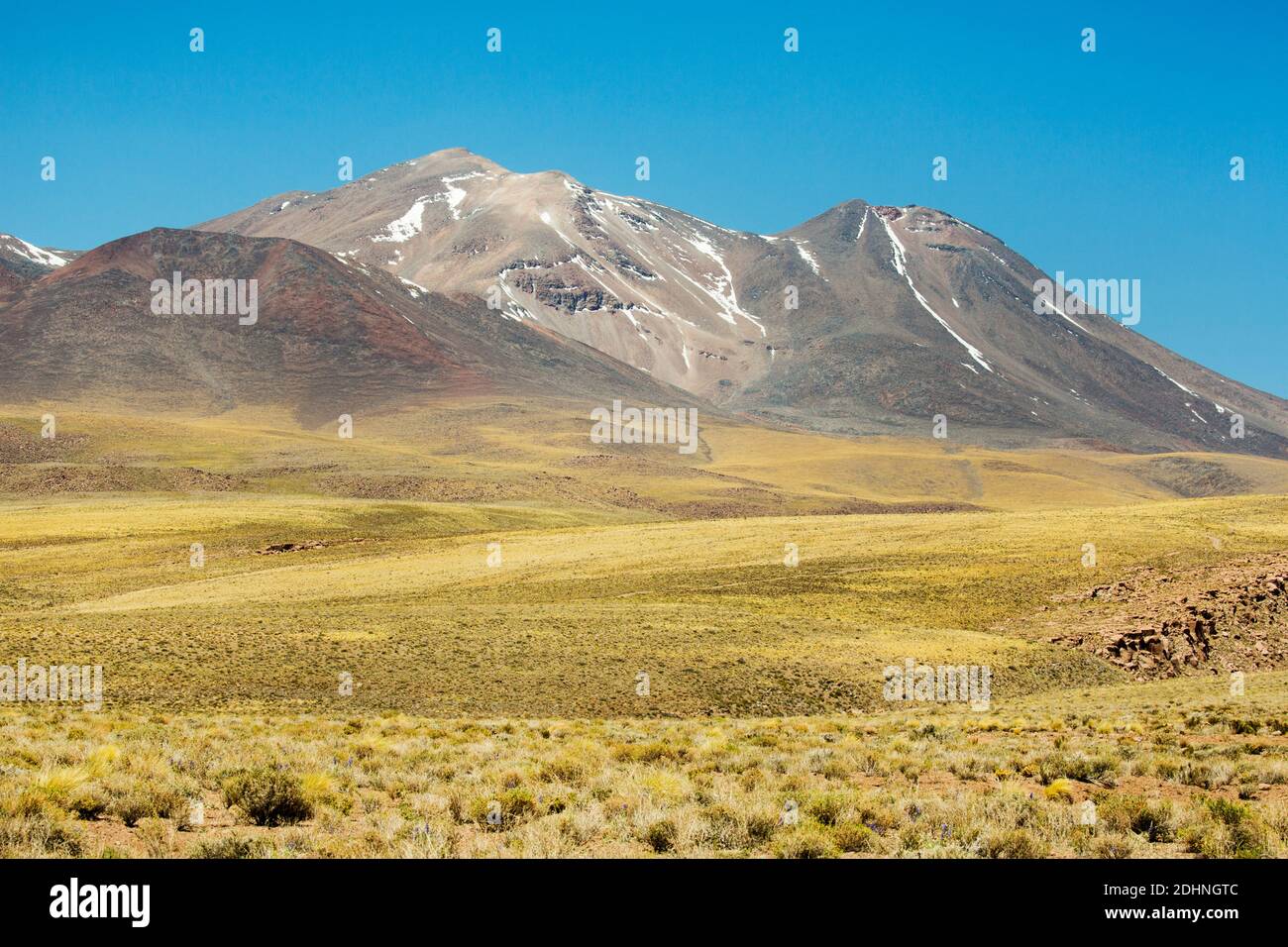 Volcano Lascar rises above the coiron grass plains of the altiplano near Socaire, Andes, Chile Stock Photo
