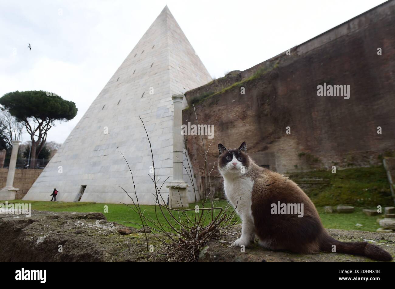 A view of the restored Pyramid of Cestius in Rome,Italy on February 3 ...