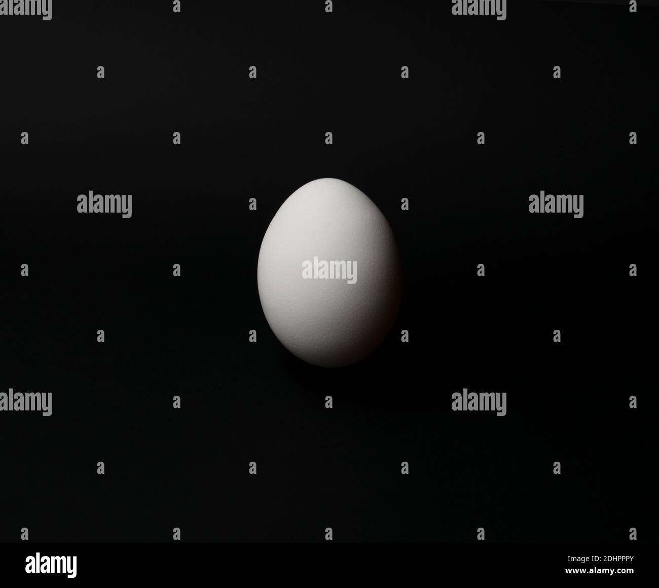 White chicken egg isolated on a black background with a space for text ...