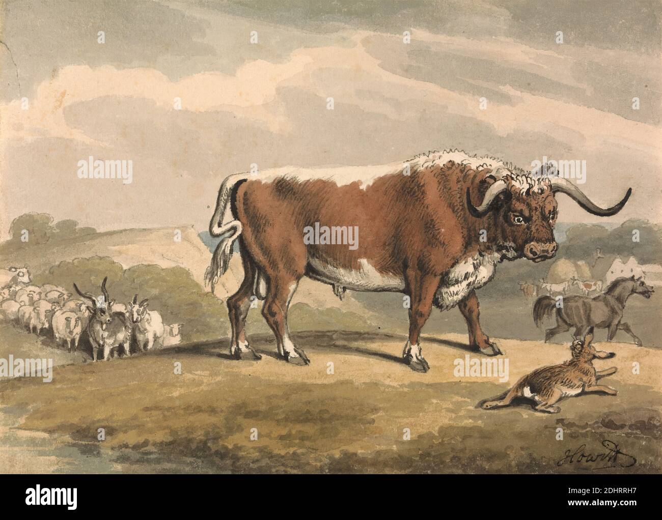 A Bull And A Rabbit Samuel Howitt 1756 1822 British Undated Watercolor Pen And Black Ink And Graphite On Medium Slighlty Textured Cream Wove Paper Sheet 5 1 8 7 1 8 Inches 13