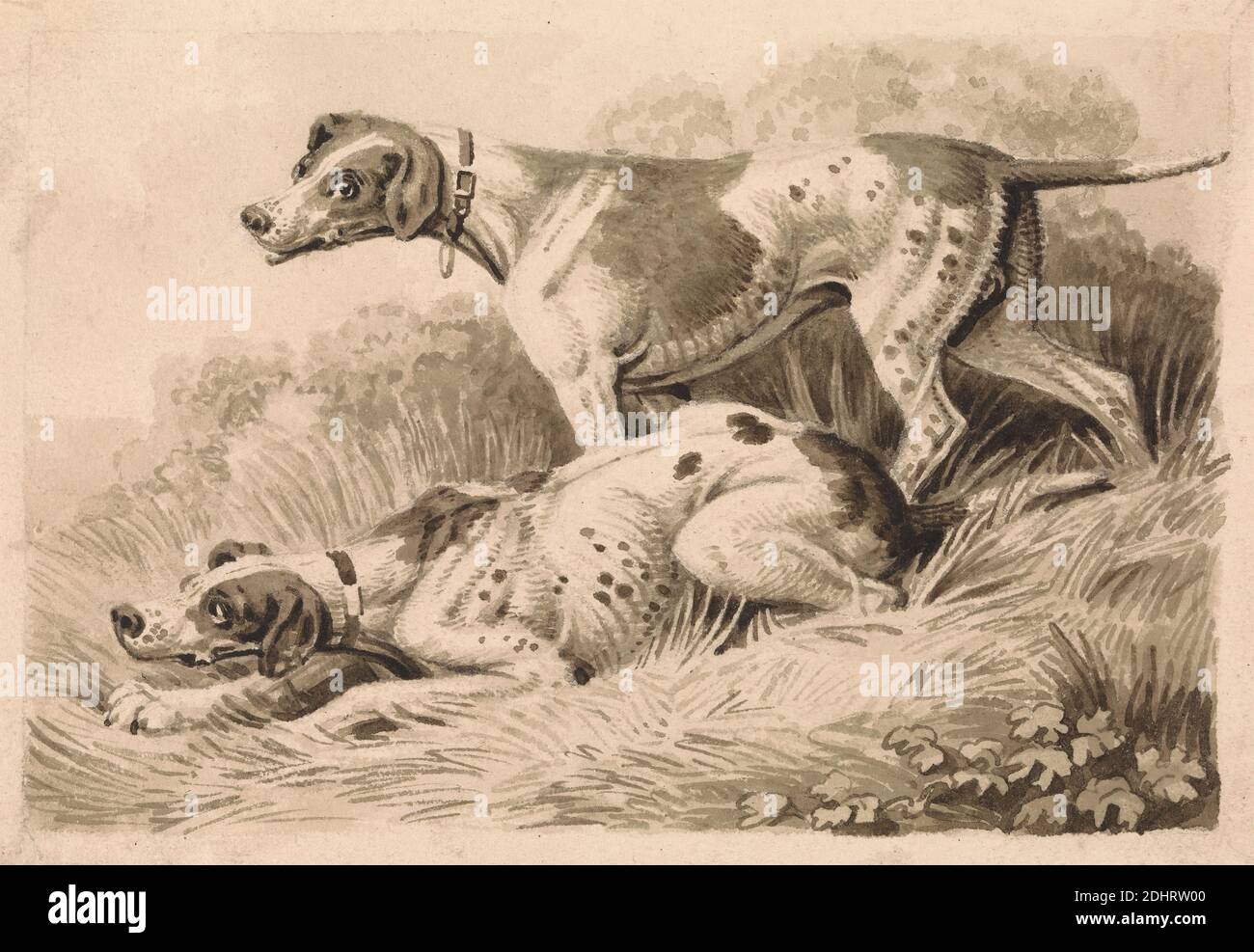 Gun Dogs, Samuel Howitt, 1756–1822, British, undated, Pen and brown ink and brown wash over graphite on moderately thick, slightly textured, cream wove paper, Sheet: 4 1/8 × 6 inches (10.5 × 15.2 cm), animal art, dogs (animals), hunting Stock Photo