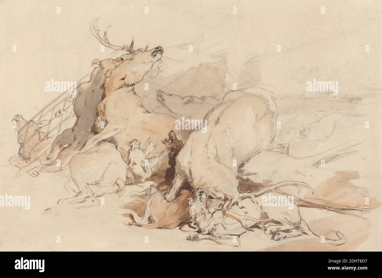 Hounds and Hunters Attacking Deer, Sir Edwin Henry Landseer, 1802–1873, British, 1831, Brown and gray wash with graphite on medium, slightly textured, cream wove paper, Sheet: 11 3/8 x 17 1/8 inches (28.9 x 43.5 cm), animal art, animals, attack, deer, dogs (animals), hounds (dogs Stock Photo