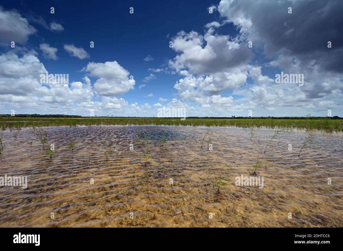 Autumn clouds over Hole-in-the-Donut habitat restoration project in Everglades National Park, Florida. Stock Photo
