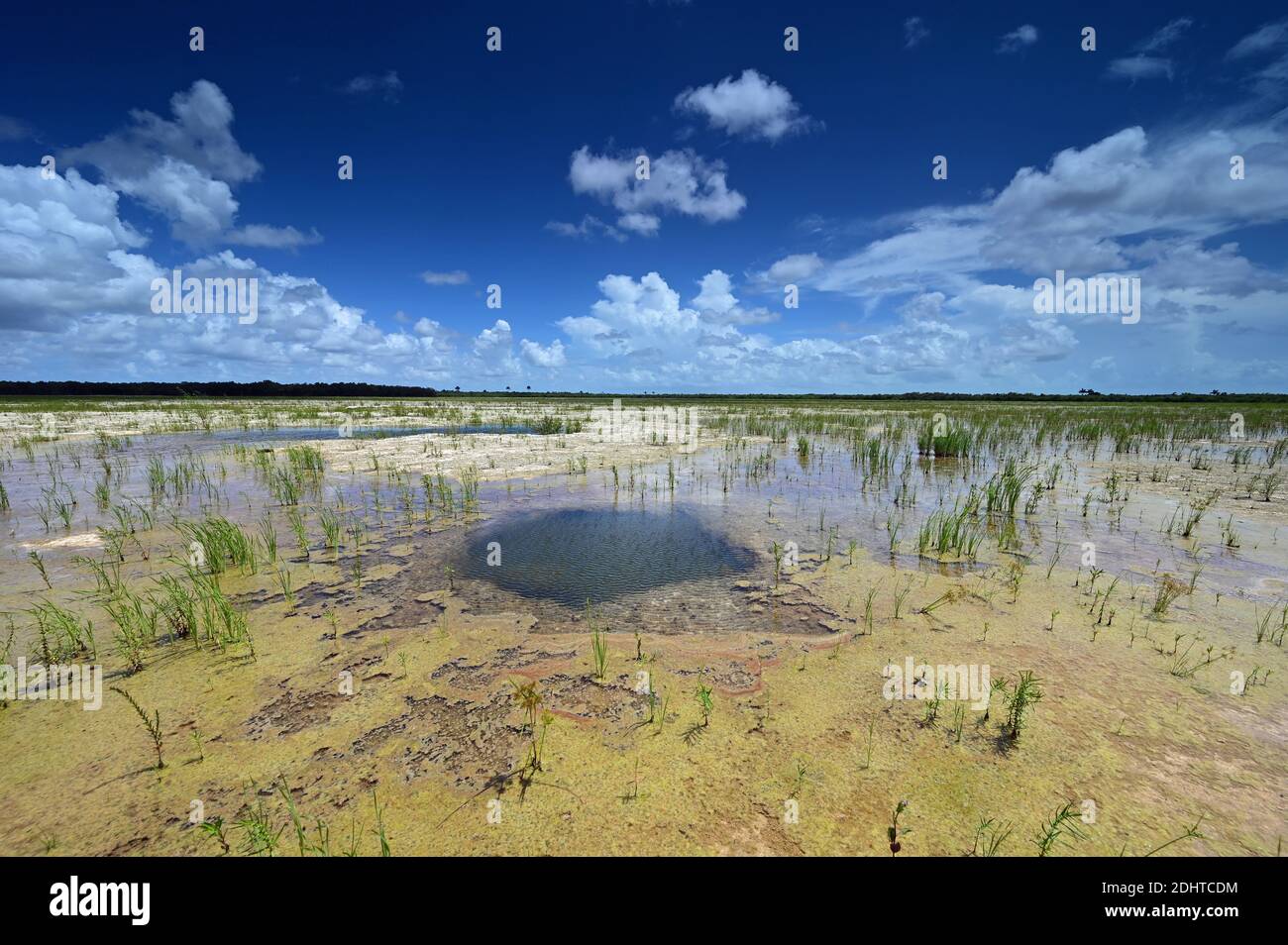 Autumn clouds over Hole-in-the-Donut habitat restoration project in Everglades National Park, Florida. Stock Photo
