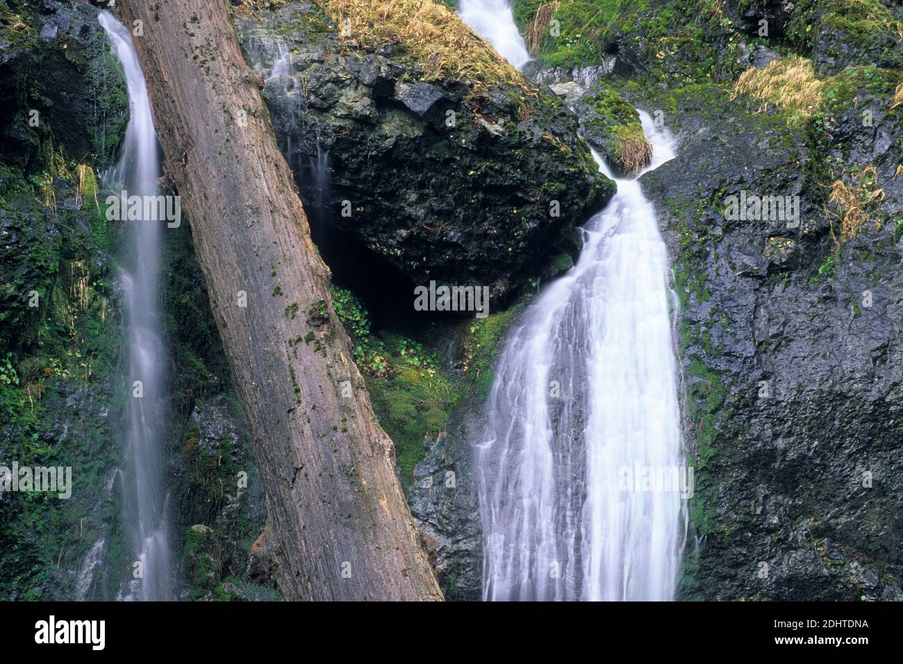 Henline Falls, Opal Creek Scenic Recreation Area,  Opal Creek Opal Creek Wilderness, Willamette National Forest, Oregon Stock Photo