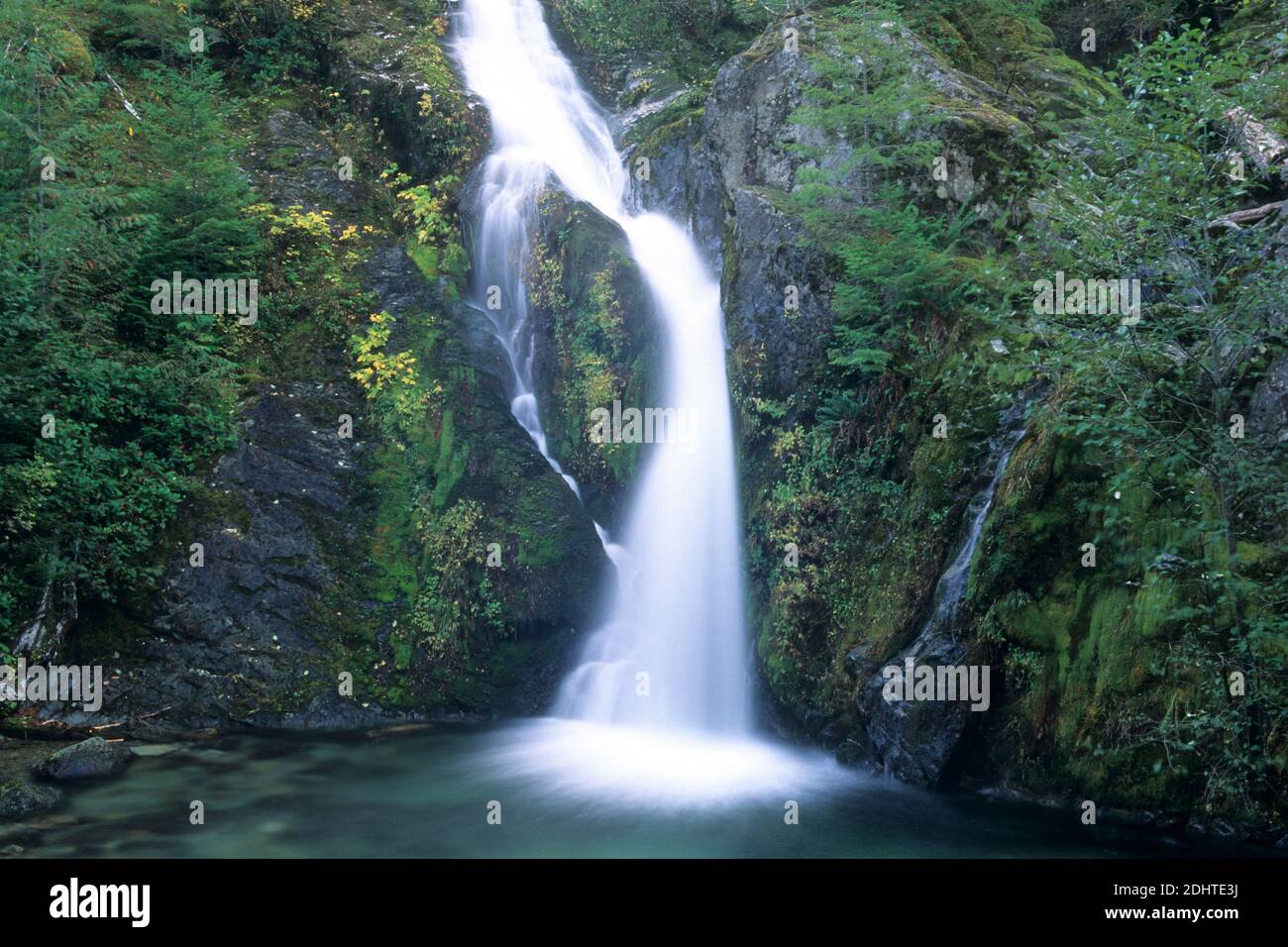 Sullivan Creek Falls, Opal Creek Scenic Recreation Area, Willamette National Forest, Oregon Stock Photo