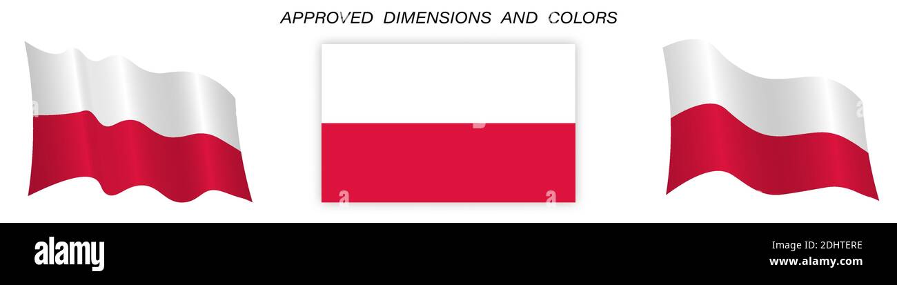 Flag of Poland in static position and in motion, developing in the wind in exact colors and sizes, on a white background Stock Vector