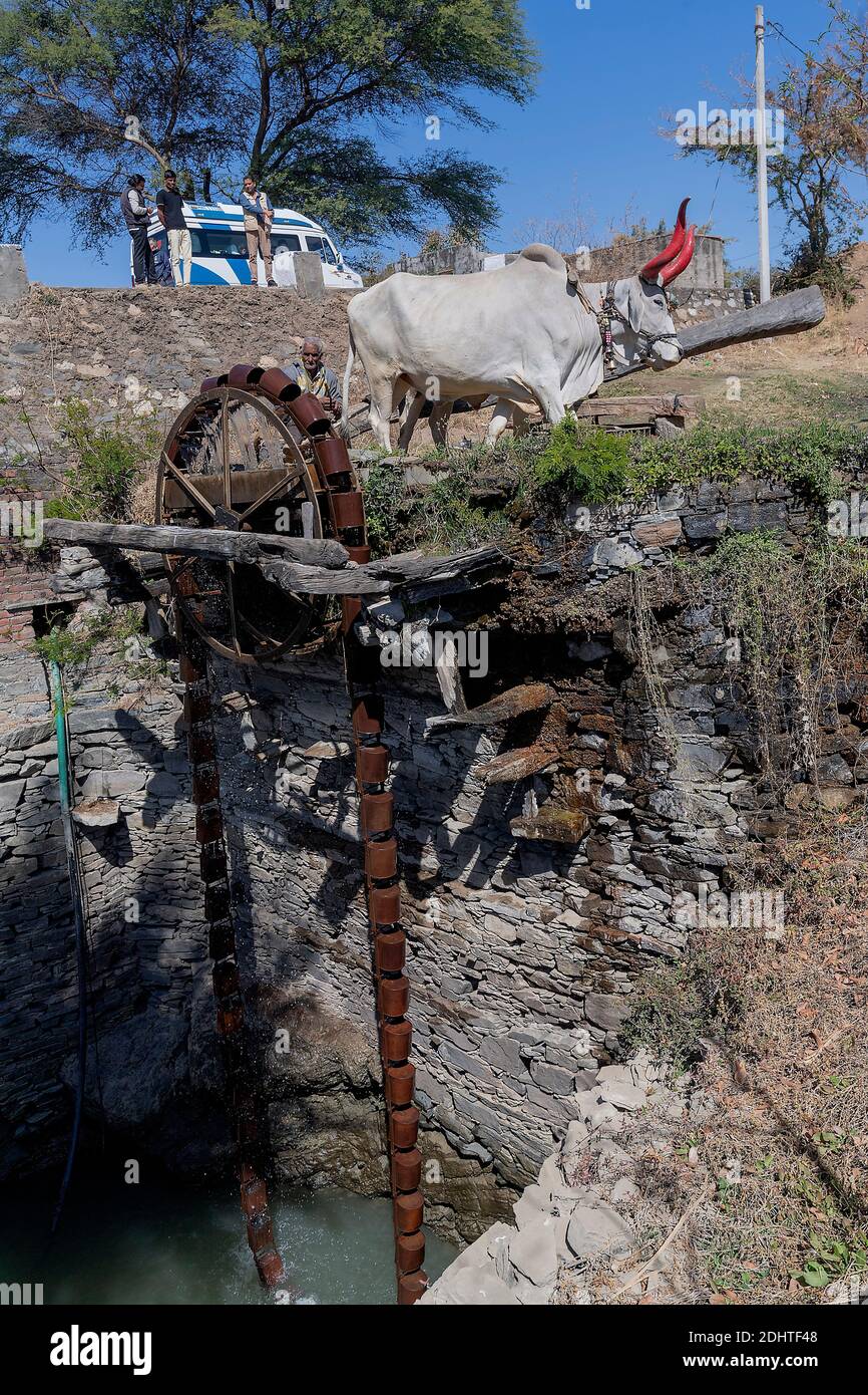 Old and traditional persian wather wheel (sakia) from Tarpal, Rajasthan, India. Stock Photo