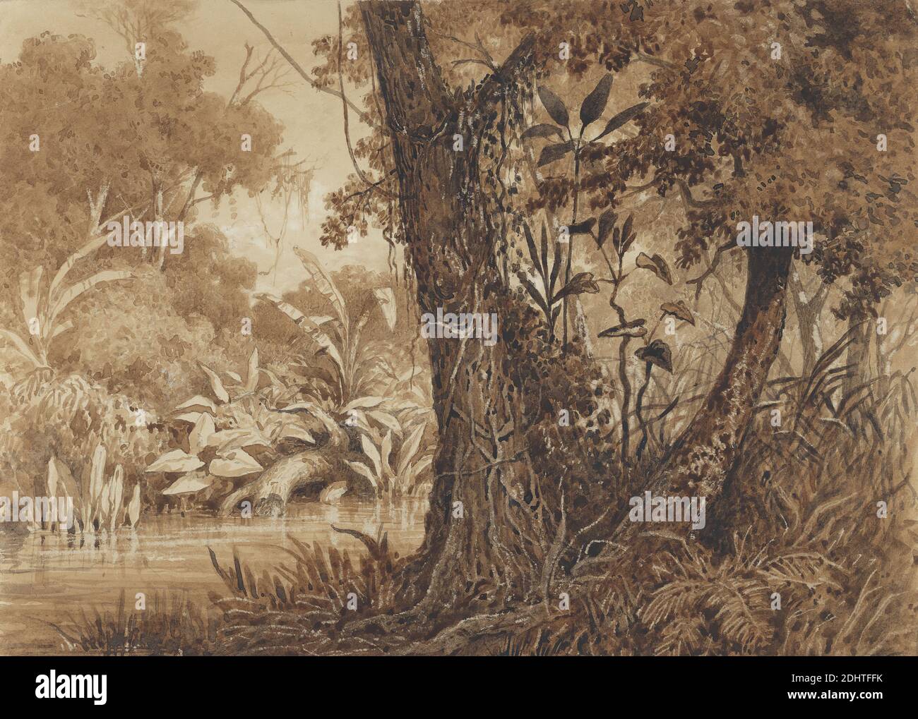 On the Cimaronero River, Michel Jean Cazabon, 1814–1888, Trinidadian, active in France ca. 1839-1847, 1857, Pen and brown ink, black ink, brown wash, graphite and scratching out on mediium, slightly texturerd, beige, wove paper, Sheet: 7 1/16 × 9 15/16 inches (17.9 × 25.2 cm), landscape, plants, river, trees, vegetation, vines, Trinidad Stock Photo