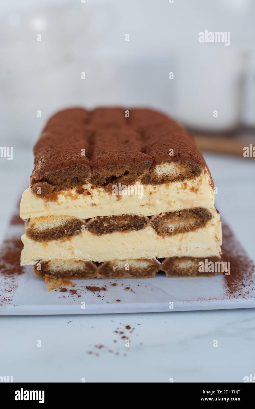 Tiramisu Semifreddo. Popular coffeeflavoured Italian dessert with