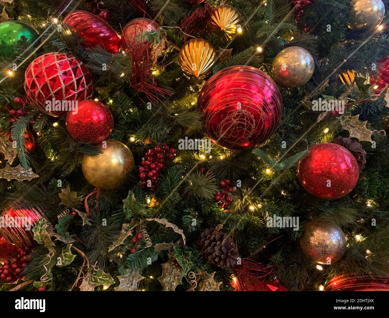 The horizontal close-up Christmas flowers and tree with shiny ...