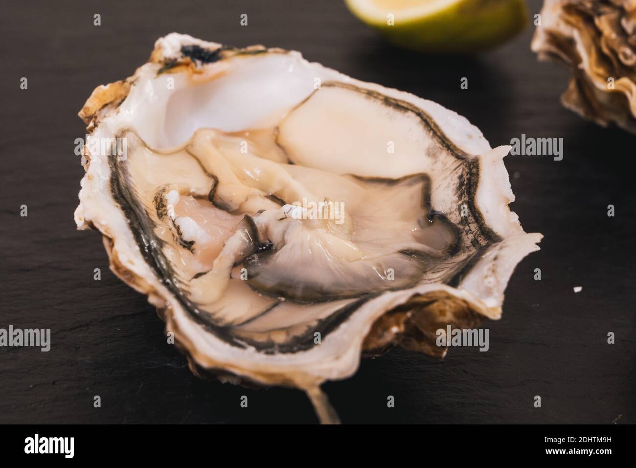 Single Raw Oyster Opened with Lemon on Black Slate Stock Photo