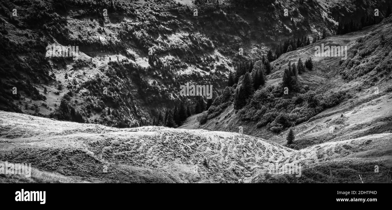 Amazing nature of Switzerland in the Swiss Alps in black and white ...