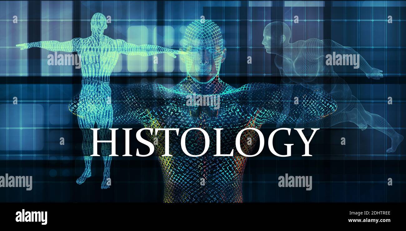 Histology Medicine Study as Medical Concept Stock Photo