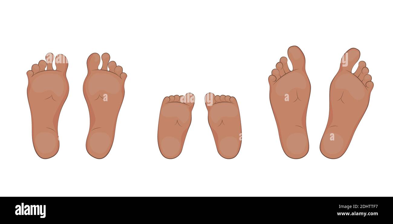 Vector illustration of a baby, mom and dad soles. feet, sole, body part